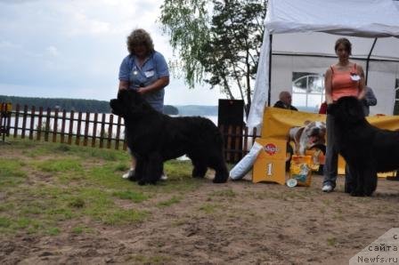 Фотография № 76903