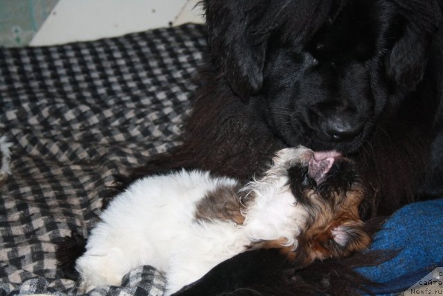 Фотография № 76904