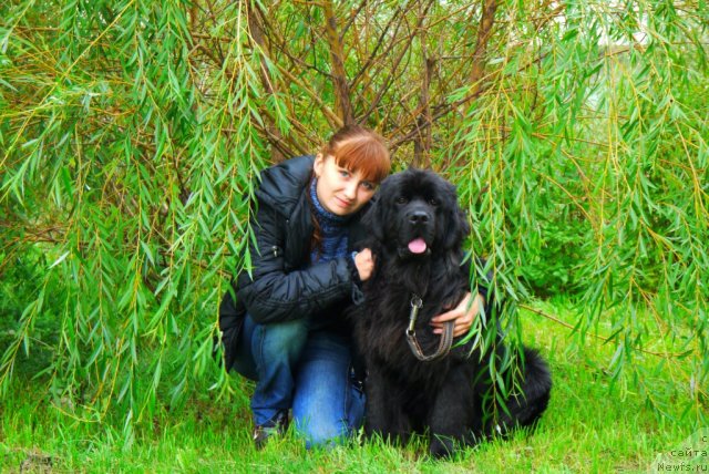 Фото: Ирина Складнова