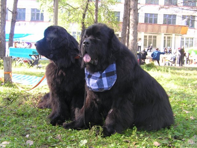 Фотография № 76930