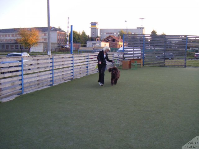 Фотография № 76938