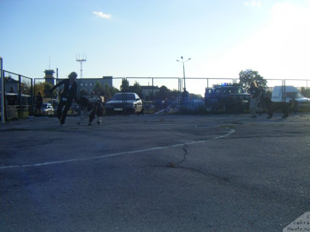 Фотография № 76950