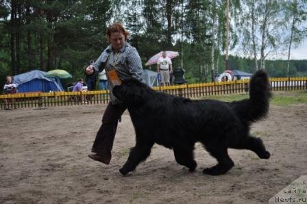 Фотография № 76958