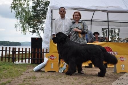 Фотография № 76959