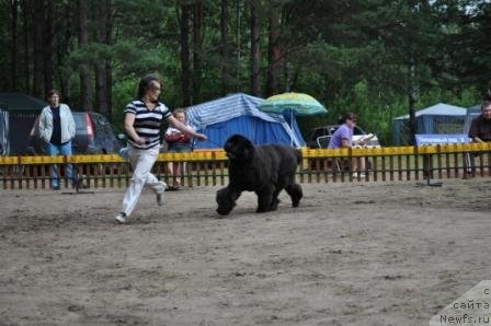 Фотография № 76960