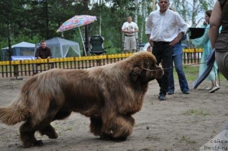 Фотография № 76961