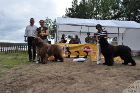 Фотография № 76963