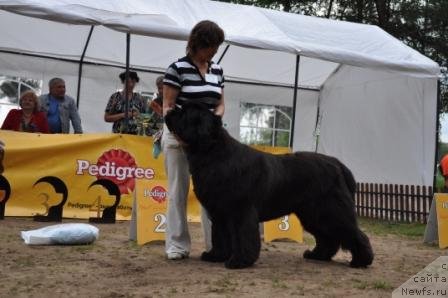 Фотография № 76964