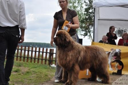 Фотография № 76970