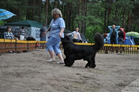 Фотография № 76971