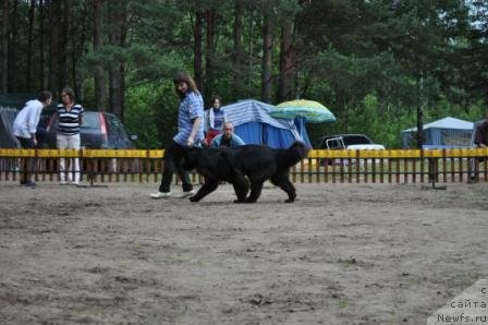 Фотография № 76972