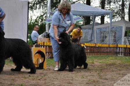 Фотография № 76979