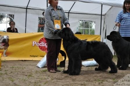 Фотография № 76980