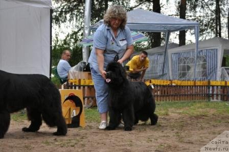 Фотография № 76981