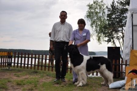 Фотография № 76982