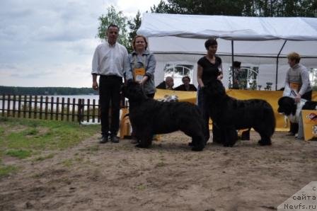 Фотография № 76989