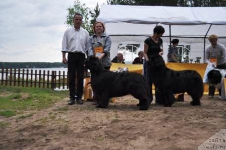 Фотография № 76990