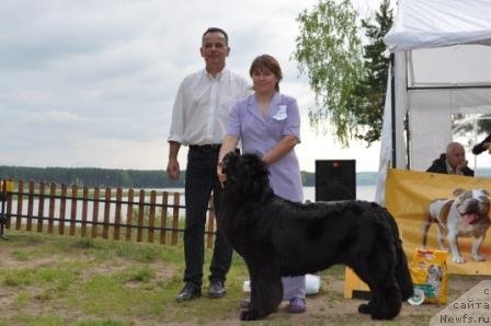 Фотография № 76995