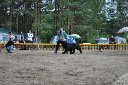 Фотография № 76996