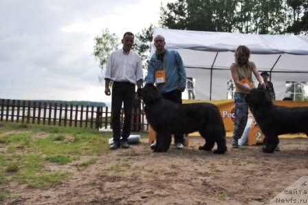 Фотография № 77002