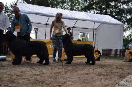 Фотография № 77003