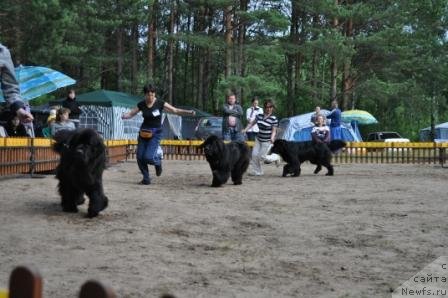 Фотография № 77004