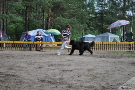 Фотография № 77007