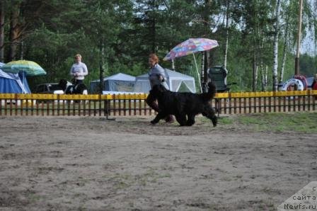 Фотография № 77012