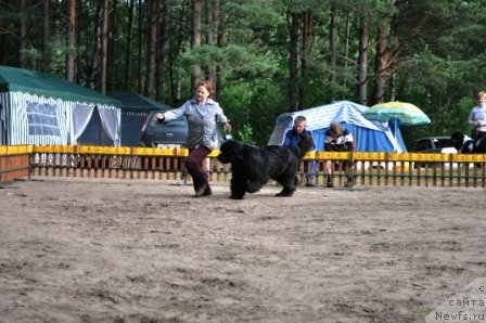 Фотография № 77013