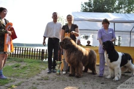 Фотография № 77019