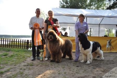 Фотография № 77020