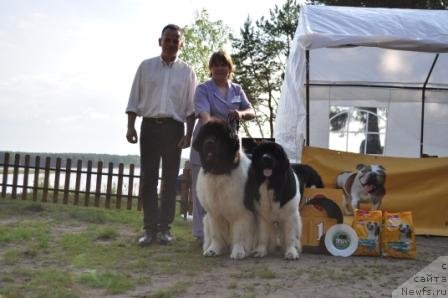 Фотография № 77025