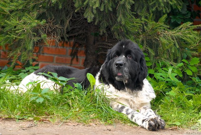 Фотография № 77031