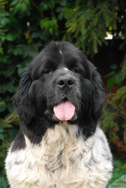 Фотография № 77037