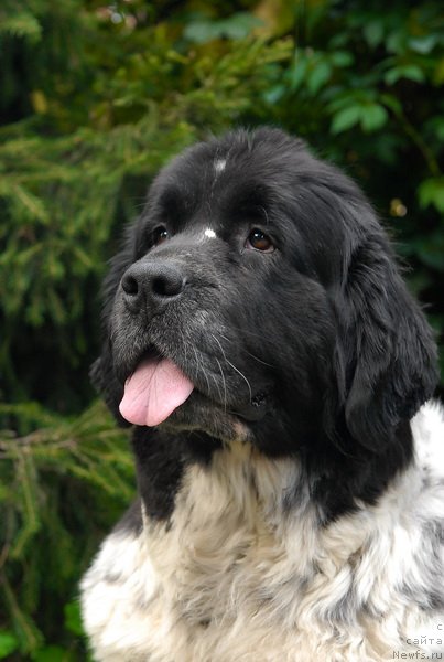 Фотография № 77039