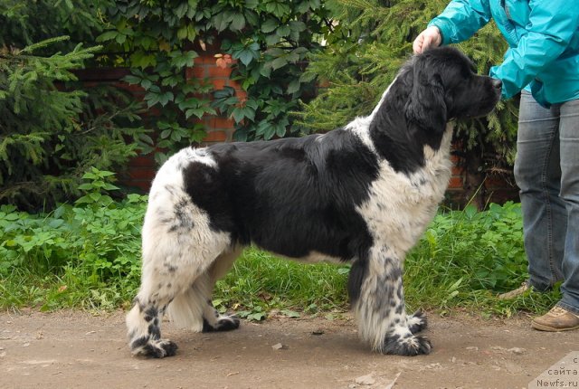 Фотография № 77047