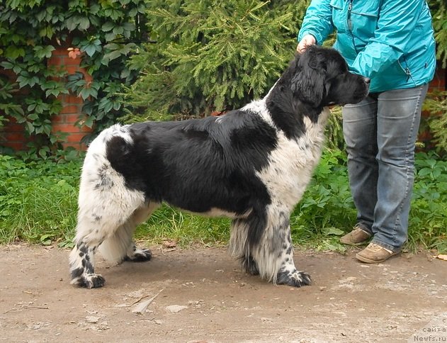 Фотография № 77050