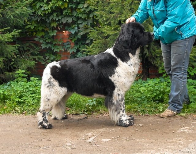 Фотография № 77051