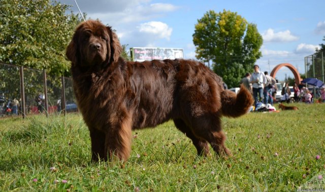 Фотография № 77086