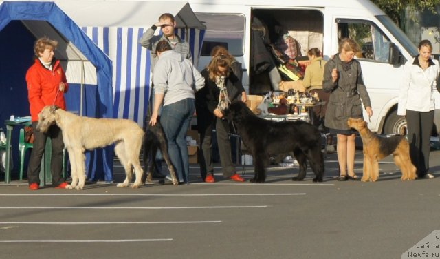 Фотография № 77089