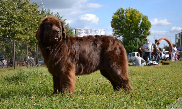 Фотография № 77090