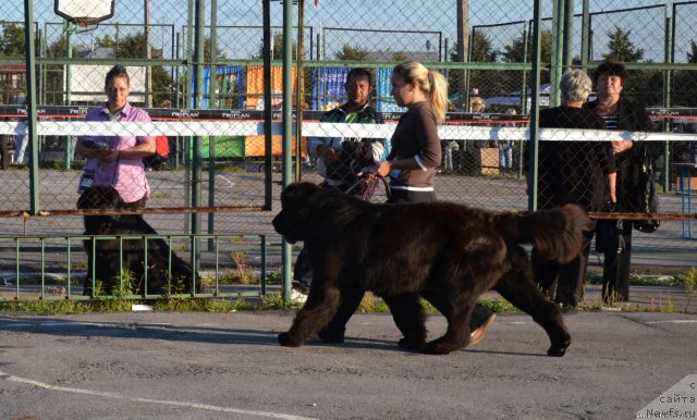 Фотография № 77094