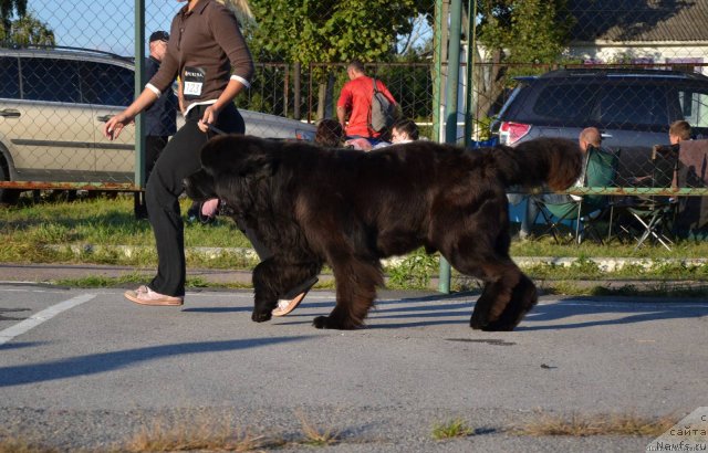 Фотография № 77095