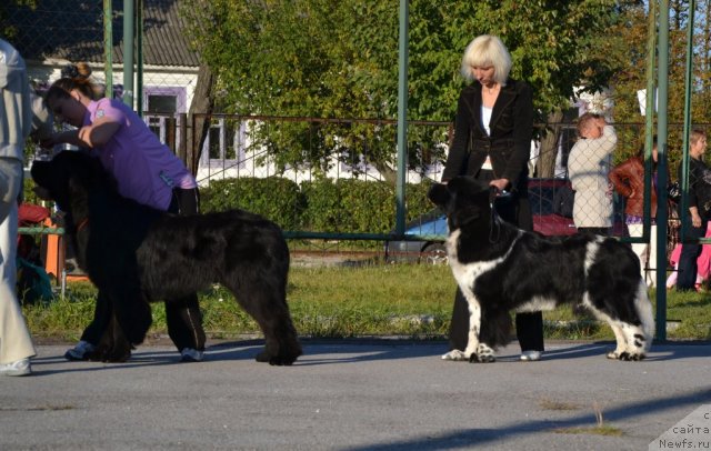 Фотография № 77096