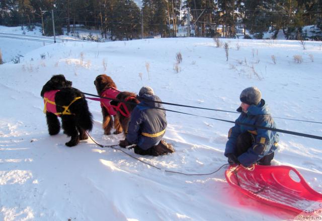 Фотография № 7714