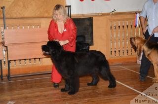 Фотография № 77141