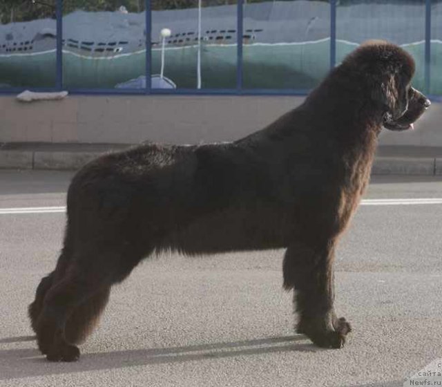 Фотография № 77144