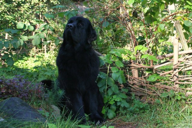 Фотография № 77210