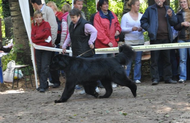 Фотография № 77215