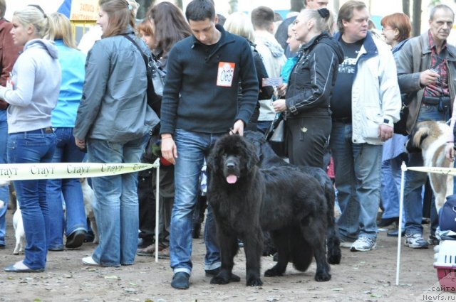 Фотография № 77222